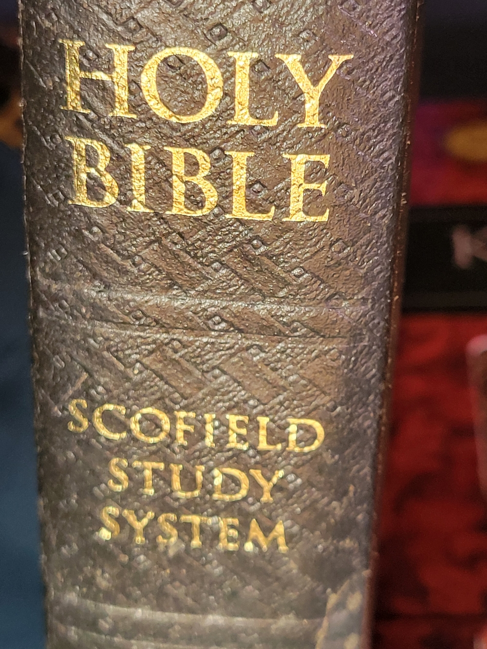 Scofield Study System Holy Bible - Brown Cover 2004